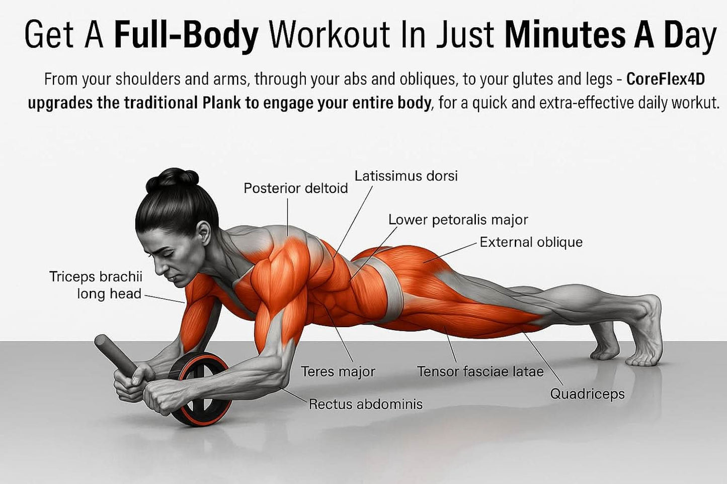 Ab Roller Pro